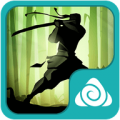 Shadow Fight Theme icon