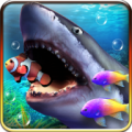 Shark aquarium 1.1.0.28