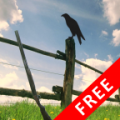 SharpShooting Free 11.0