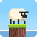 Sheepop icon