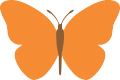 Shine Fly icon