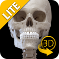 Skeletal System Lite - 3D Atlas of Anatomy icon