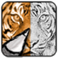 SketchArt icon