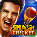 Smash Cricket icon