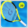 Smash Tennis 3D 1.3