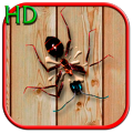 Smasher HD 1.5