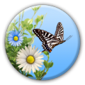 Butterfly icon