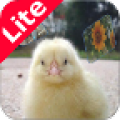 Sounds For Kids - Lite icon