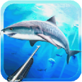 Spearfishing 3D 1.21