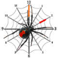 Spider Clock Widget icon
