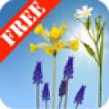 Spring Meadow Free icon