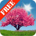 Spring Trees Free icon