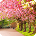 Spring Wallpaper icon
