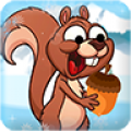 Squirrel on iceland icon