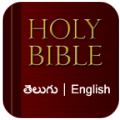 Bible Offline icon