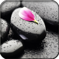 Stone in water 1.0