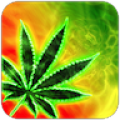 Stoned Game icon
