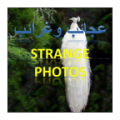 strange photos icon