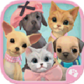 StudioPets icon