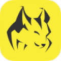 SummitLynx icon