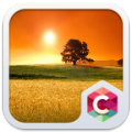 Sunny Theme icon