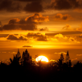 Sunrise Wallpaper icon