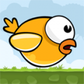 Super idiot Bird 1.2.9