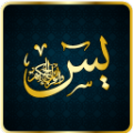 Surah Yaseen Urdu icon