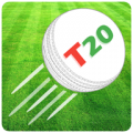 T20 Live Cricket 2016 icon