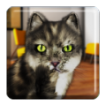 Talking Cat Funny icon