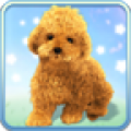 Talking Teddy Dog 2.5