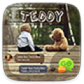Teddy icon