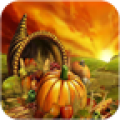 Thanksgiving Wallpaper HD icon
