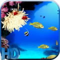 The Aquarium icon