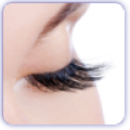 The Lashes Clinc icon