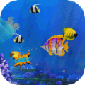 The Tlittle Fish icon