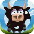 TidyUp icon
