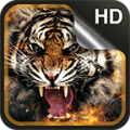 Tiger Live Wallpaper HD 3.5