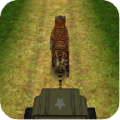 Tiger Run icon