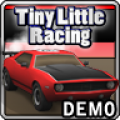 TL Racing Demo 1.32