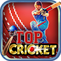 Top Cricket 1.0