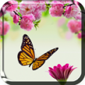 Spring Flowers Live Wallpaper icon