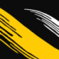 Towson U icon