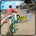 True BMX Fever 3D 1.3