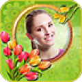 Tulip Photo Frames icon