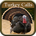 Turkey Hunting Calls 2.1