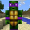 Turtle Ninja Run icon
