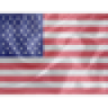 United States Constitution icon