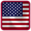 US Flag icon