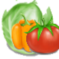 VegetablesNinja icon